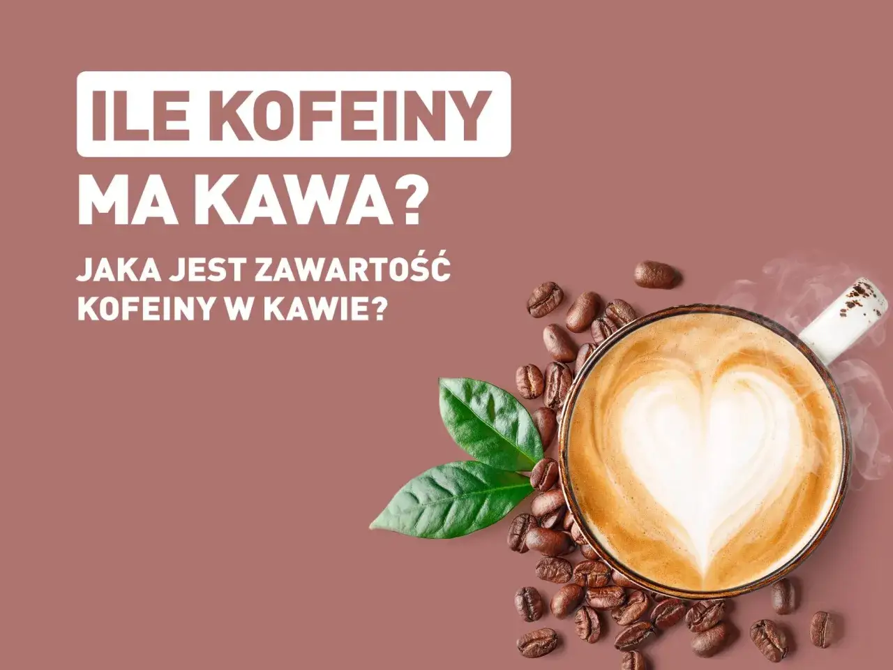 Zdjęcie Kawa ile mg kofeiny? Poznaj różnice w zawartości kofeiny