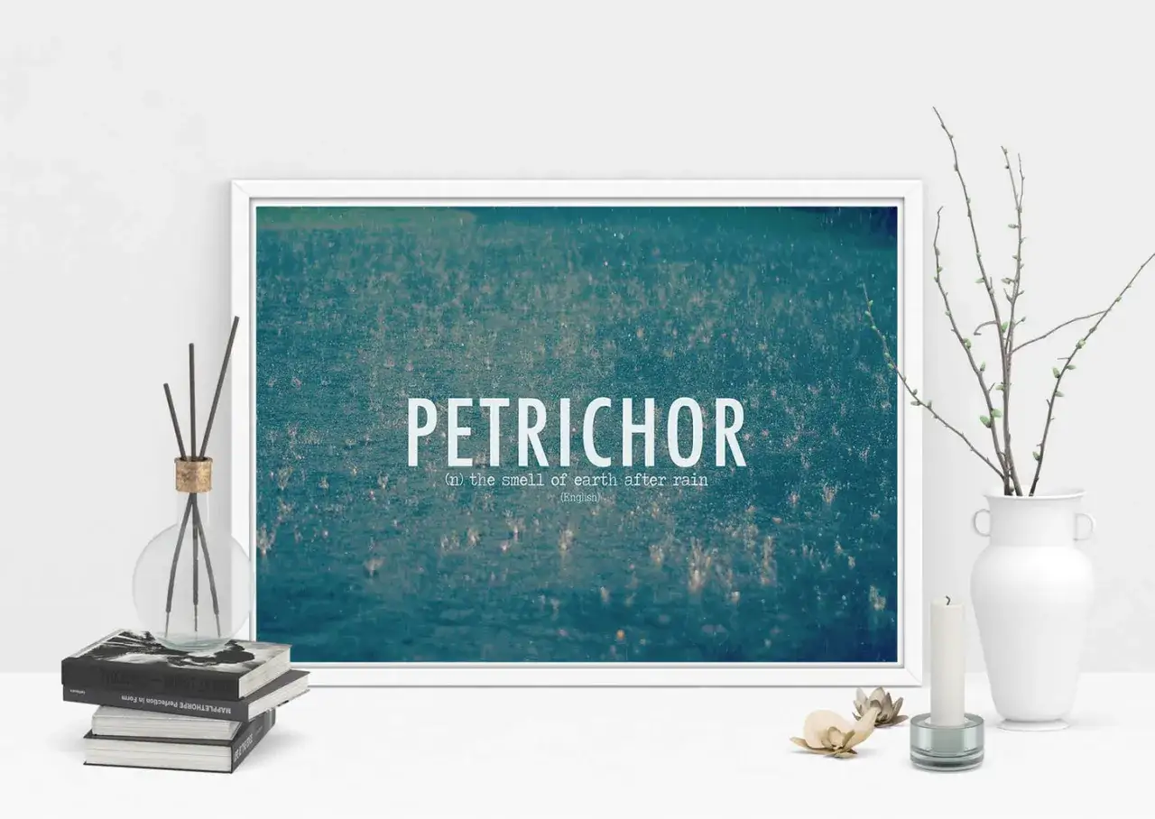 Petrichor after rain illustration