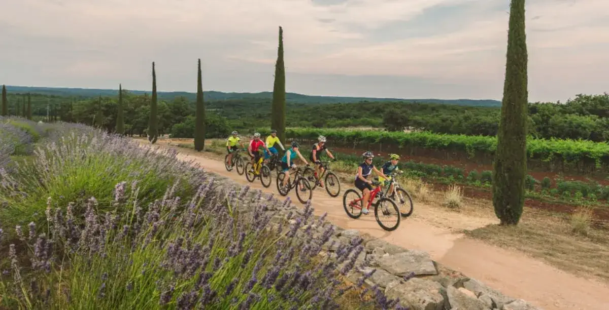 Rodzinne trasy rowerowe Chorwacja