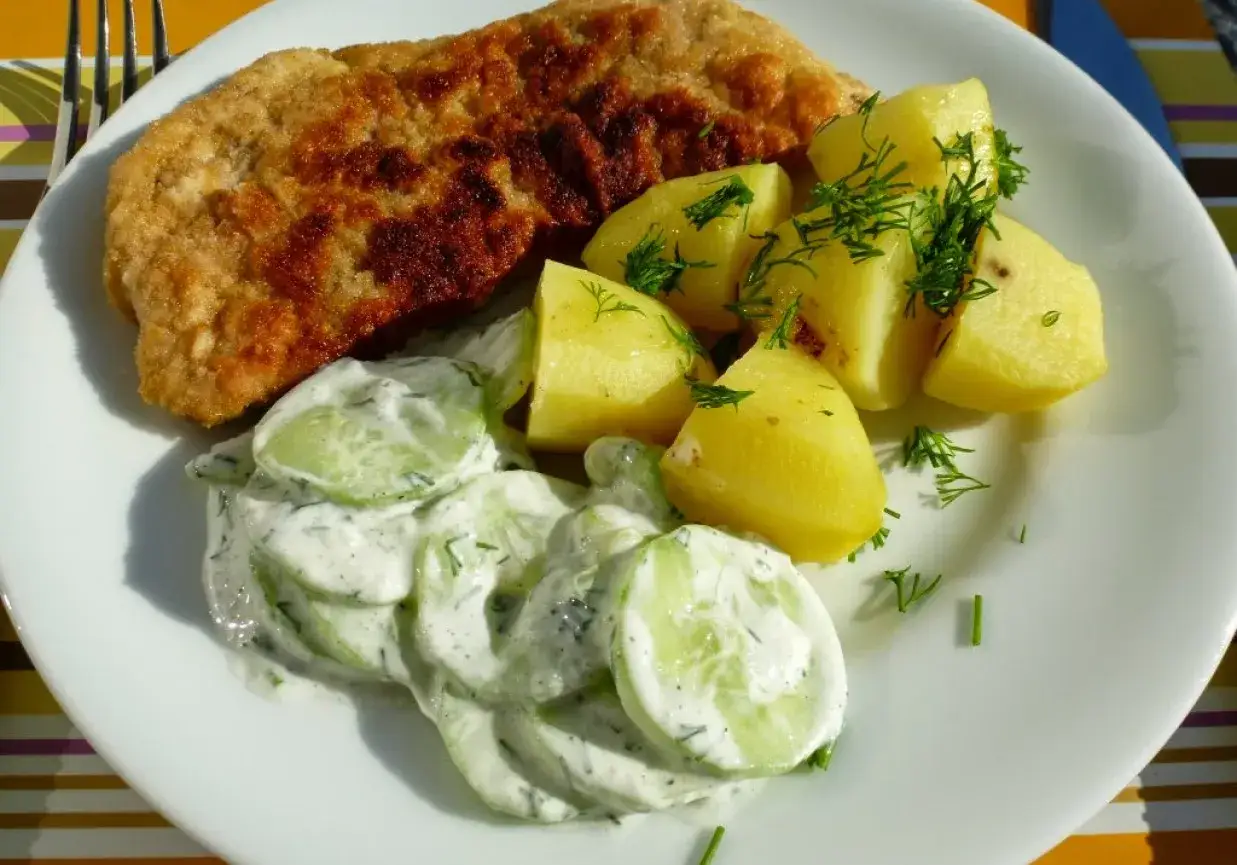 Tradycyjny polski obiad z mizerią i kotletem schabowym
