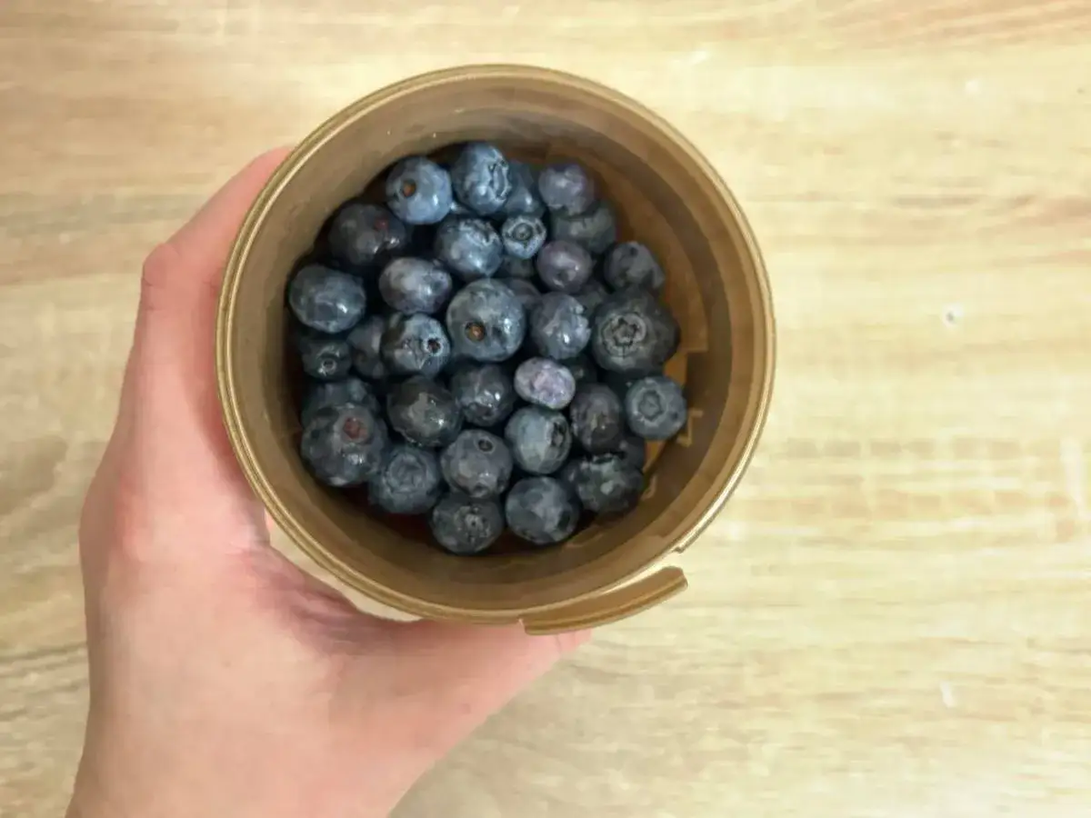 Świeże bor&oacute;wki amerykańskie na sitku