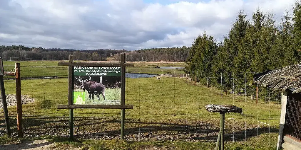 Park Dzikich Zwierząt Kadzidłowo