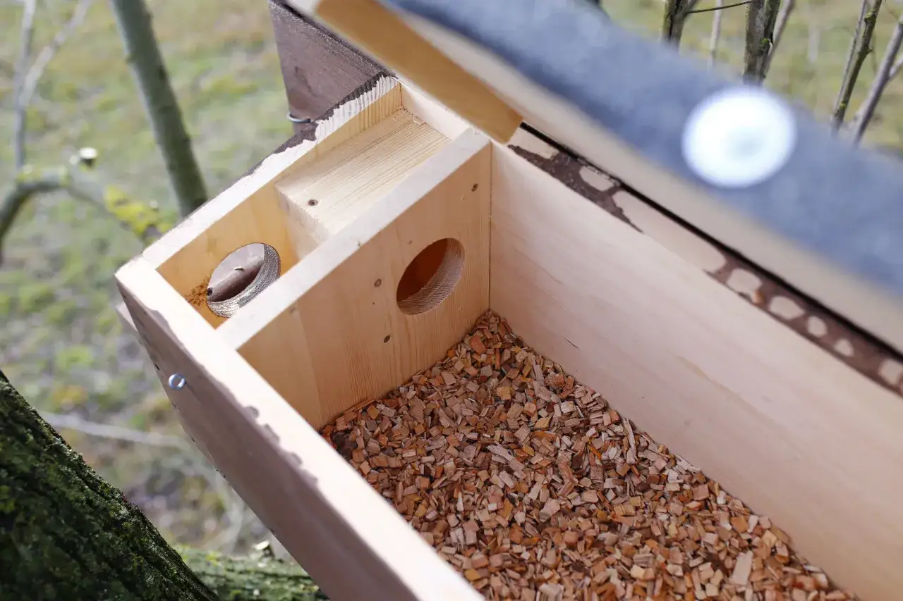 Zabezpieczenia budki lęgowej dla sikorek