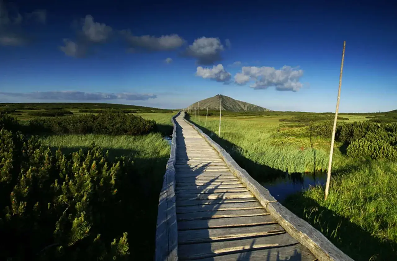 Drewniana kładka prowadzi przez trawiaste tereny w kierunku Śnieżki, jednego z najwyższych szczytów Karkonoszy.