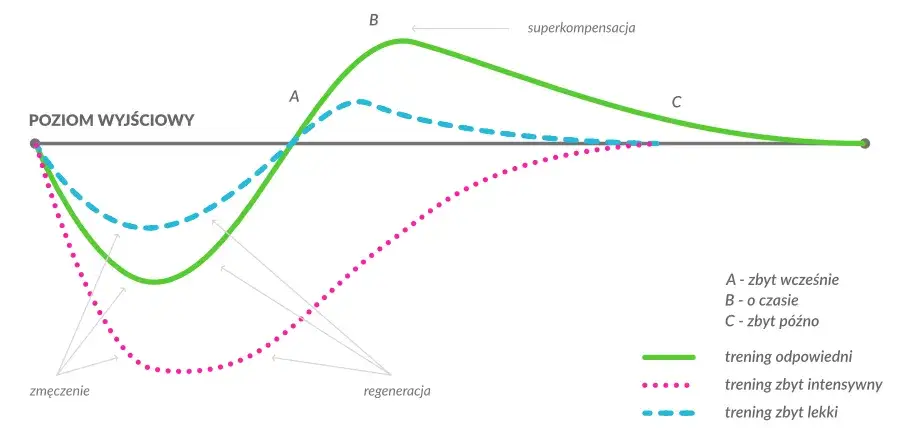 Wykres progresywnego przeciążenia w treningu siłowym