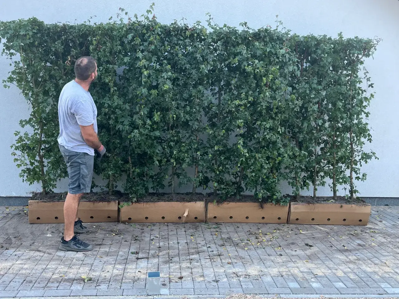 Ogrodzenie gabionowe nowoczesne panele żaluzjowe