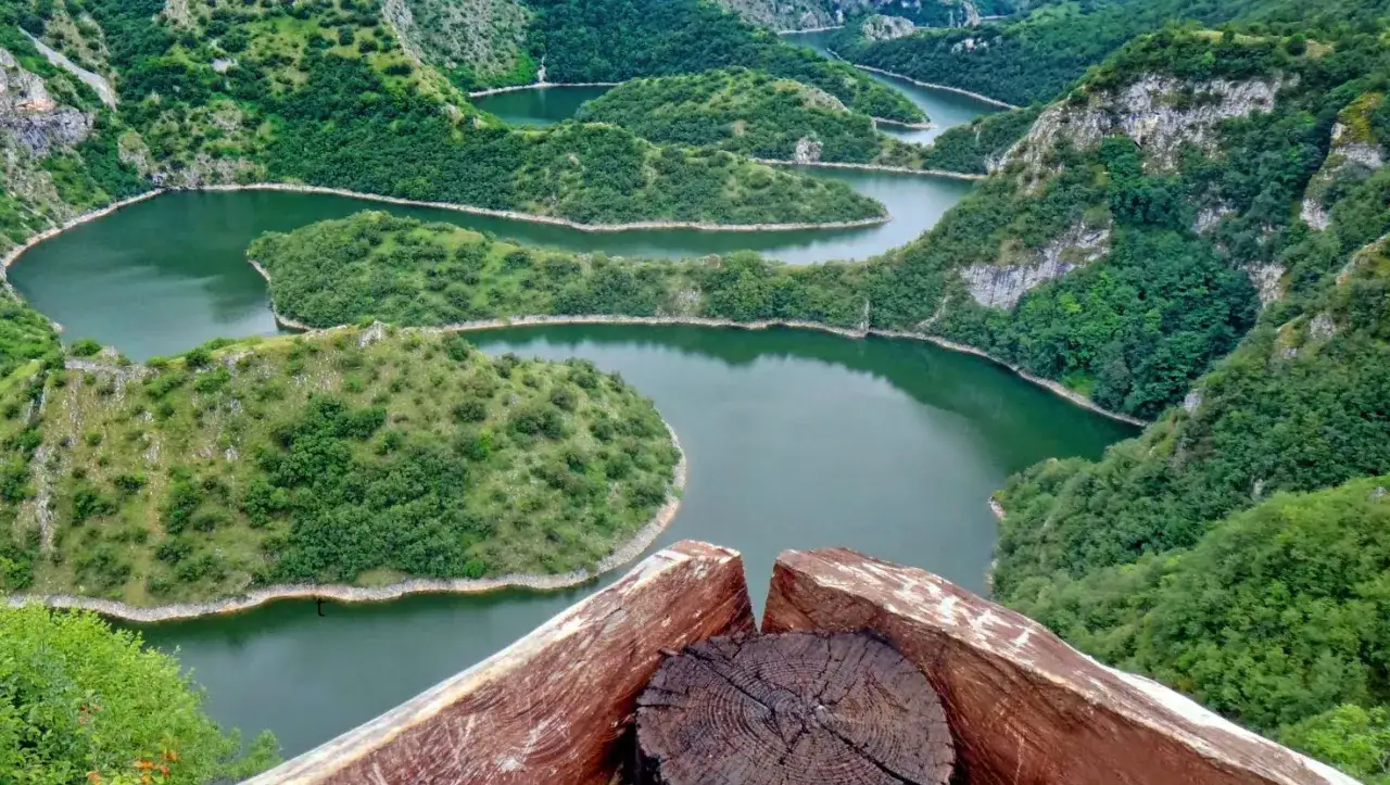 Meandry rzeki tworzą malowniczy krajobraz kanionu Uvac, otoczonego zielonymi wzg&oacute;rzami i skalistymi zboczami.