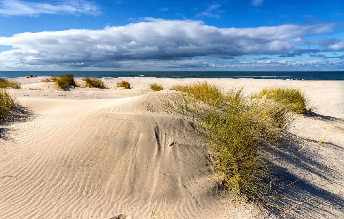 różne typy plaż polskiego wybrzeża klifowa piaszczysta wydmy