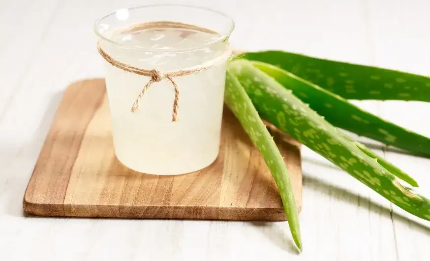 Jak przygotować aloes do picia