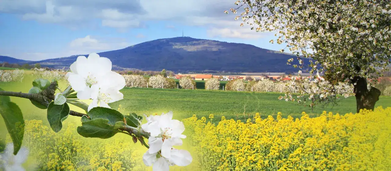 Zdjęcie Rezerwat przyrody Góra Ślęża - historia, atrakcje i ekologia w sercu Dolnego Śląska