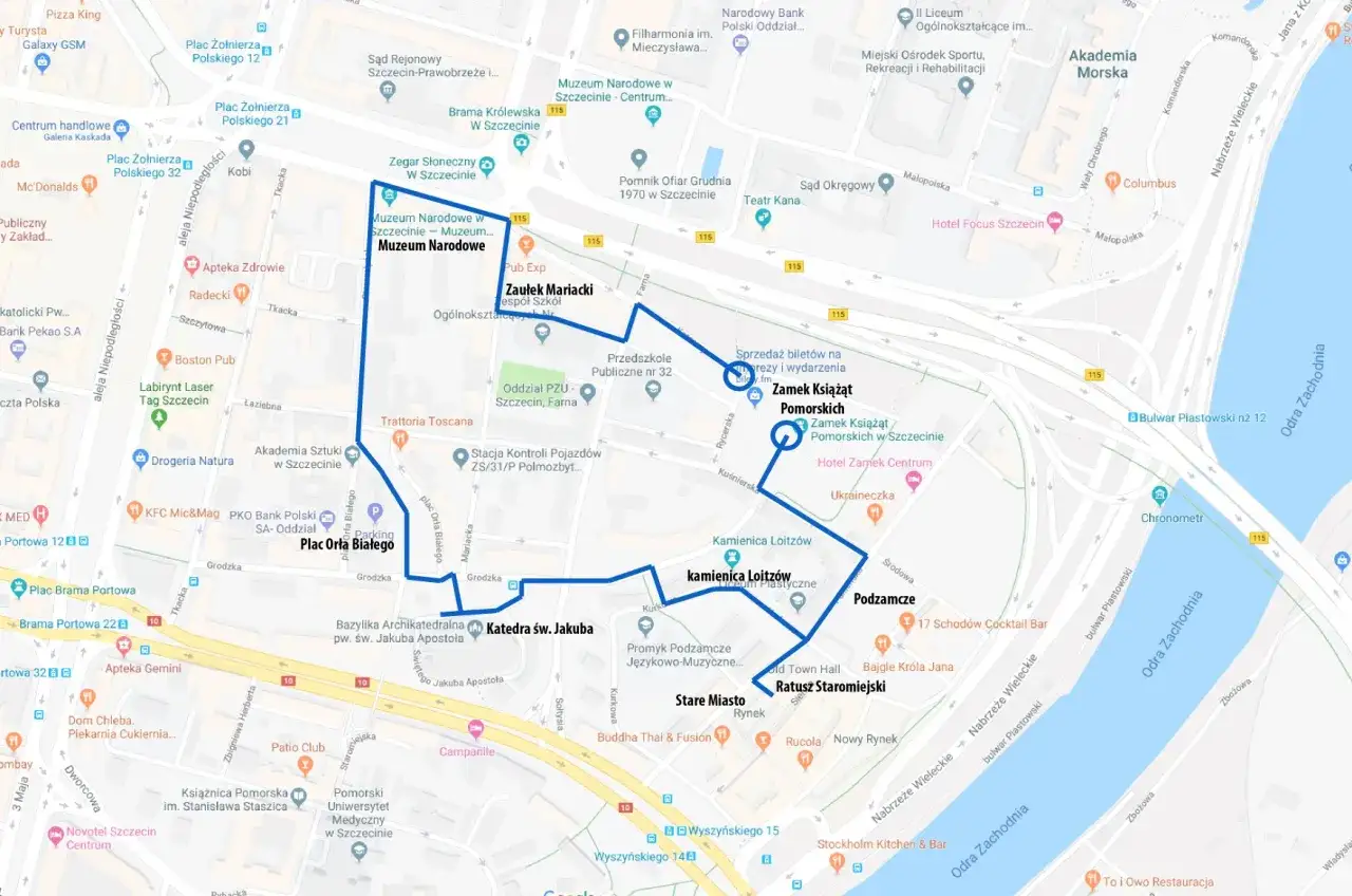 Piramida wieku dla Szczecina lub mapa gęstości zaludnienia dzielnic Szczecina