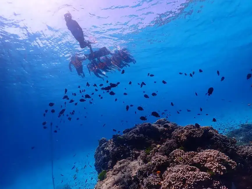 Wyspy Similan snorkeling rafa koralowa