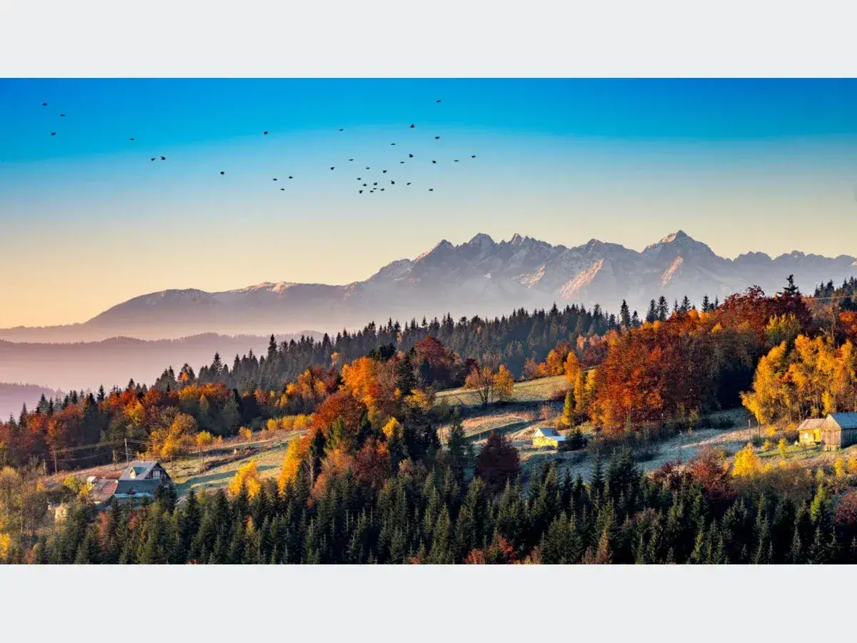 Jesienny krajobraz z Tatrami od strony słowackiej. Kolorowe drzewa, lasy i góry w oddali.