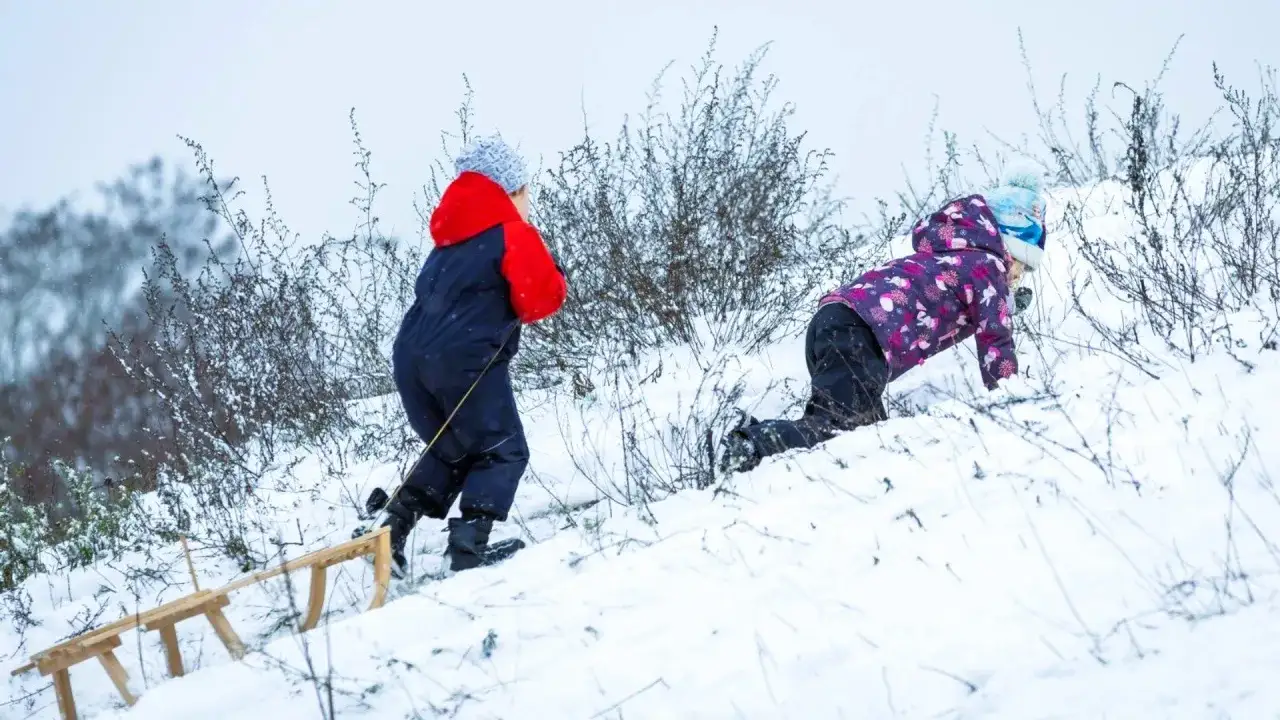 Dzieci wspinają się na śnieżne wzgórze, by zjechać na sankach. To ich własny zimowy tor saneczkowy.