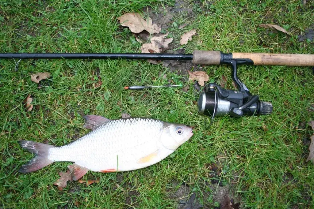 zestaw wędkarski na płocie spławik