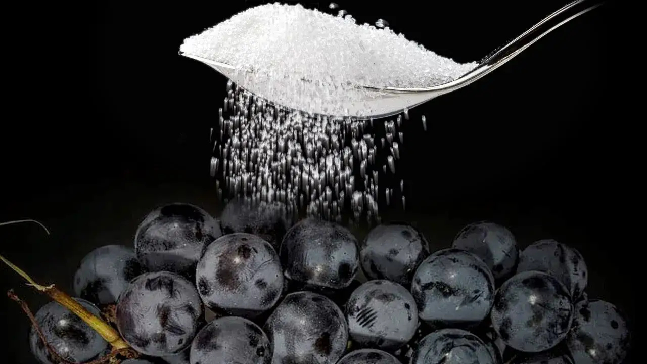 Zdjęcie Ile cukru na 50l wina z winogron? Oblicz dokładnie potrzebną ilość