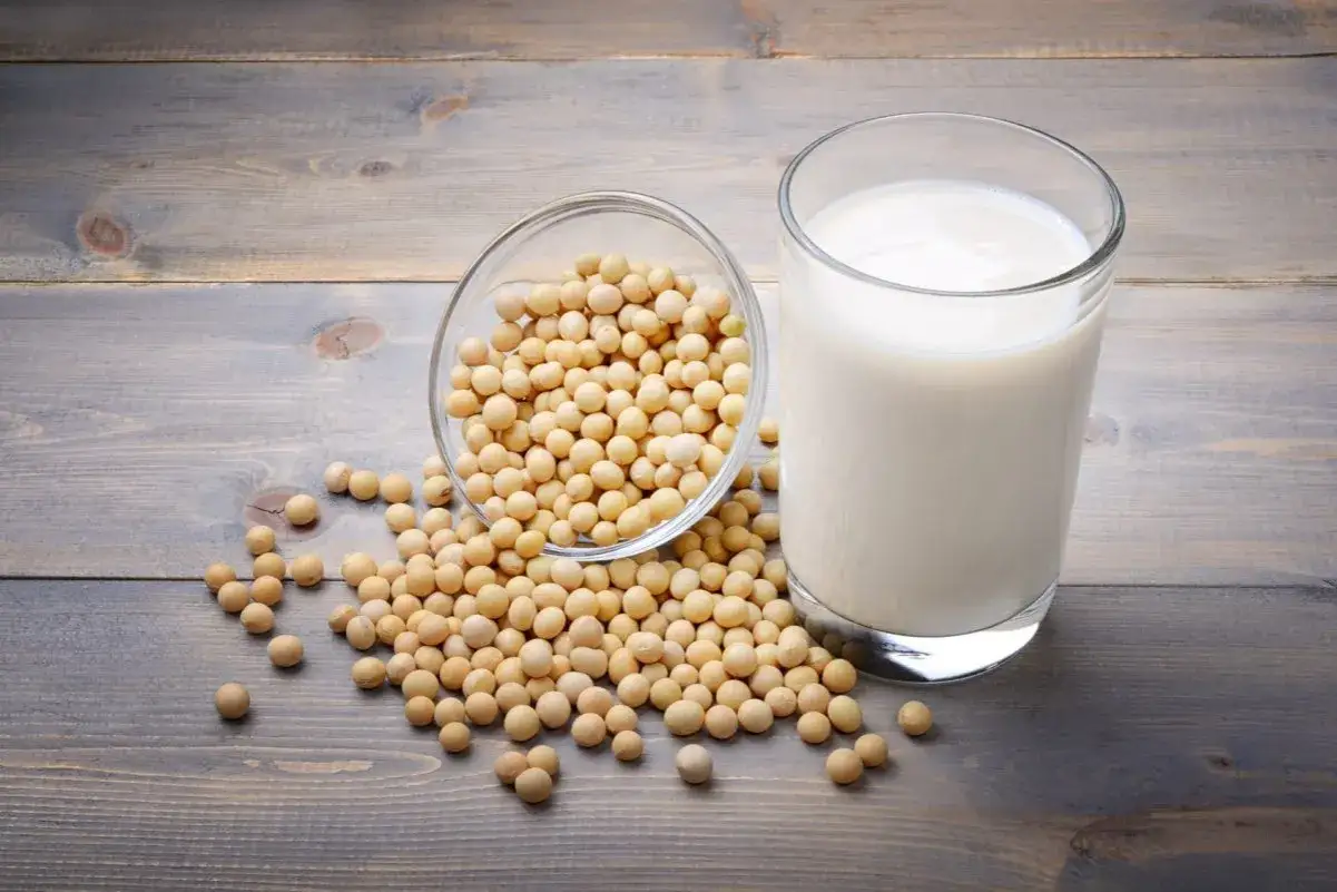 Jak wybrać białko sojowe