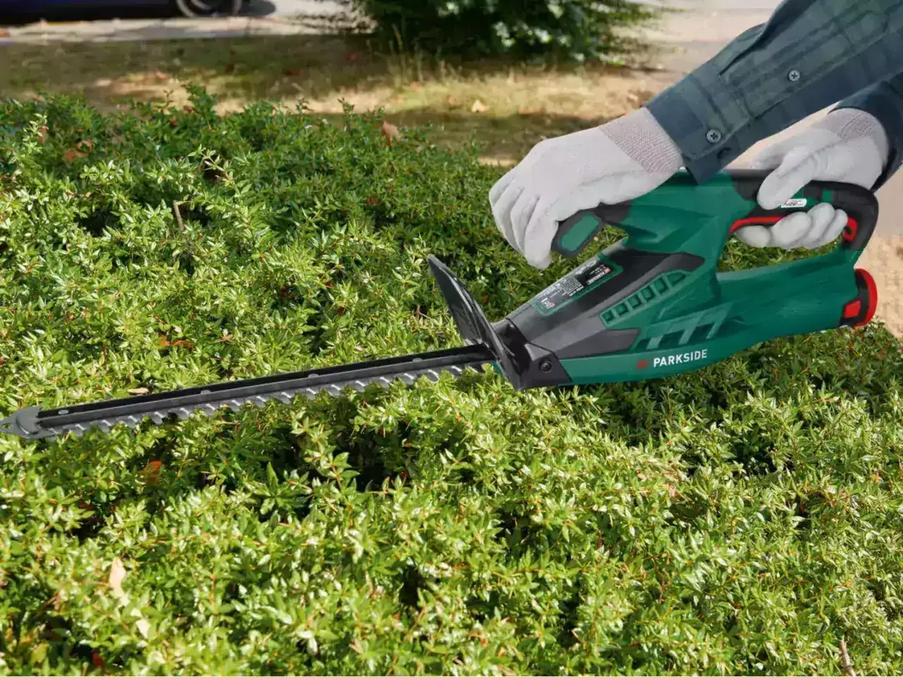 Ręce w białych rękawiczkach trzymają zielone kosiarki do żywopłotu, przycinając gęsty, zielony żywopłot.
