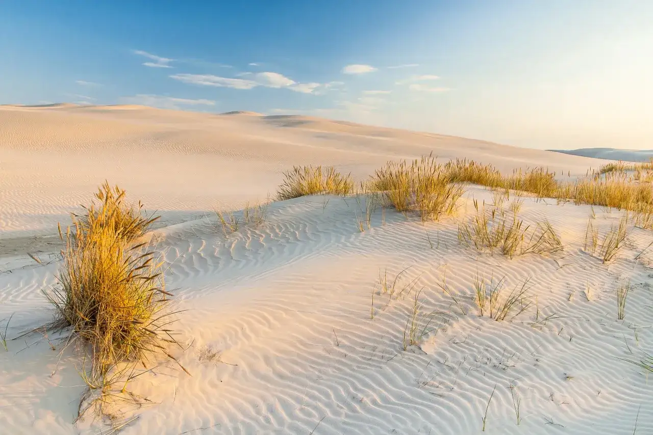 Piasek formuje się w fale, ukazując, jak powstają wydmy. Trawa uchwycona w złotym świetle podkreśla piękno krajobrazu.