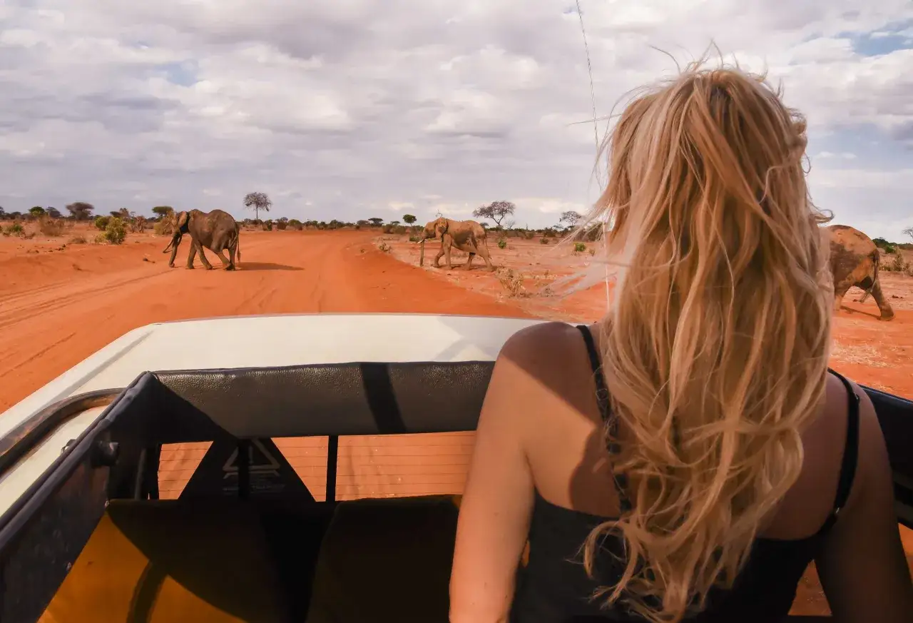 Widok z samochodu safari na słonie na tle kenijskiego krajobrazu. Ceny w Kenii są różne, ale takie widoki są bezcenne.
