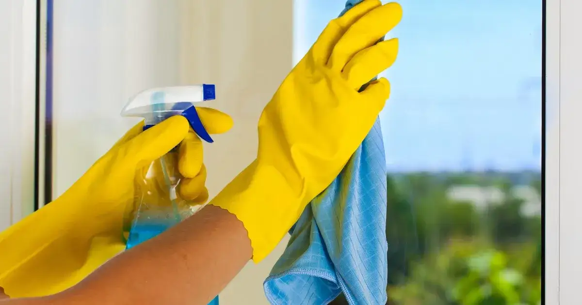 Zdjęcie Myjka do okien Vileda czy Karcher – która naprawdę działa lepiej?