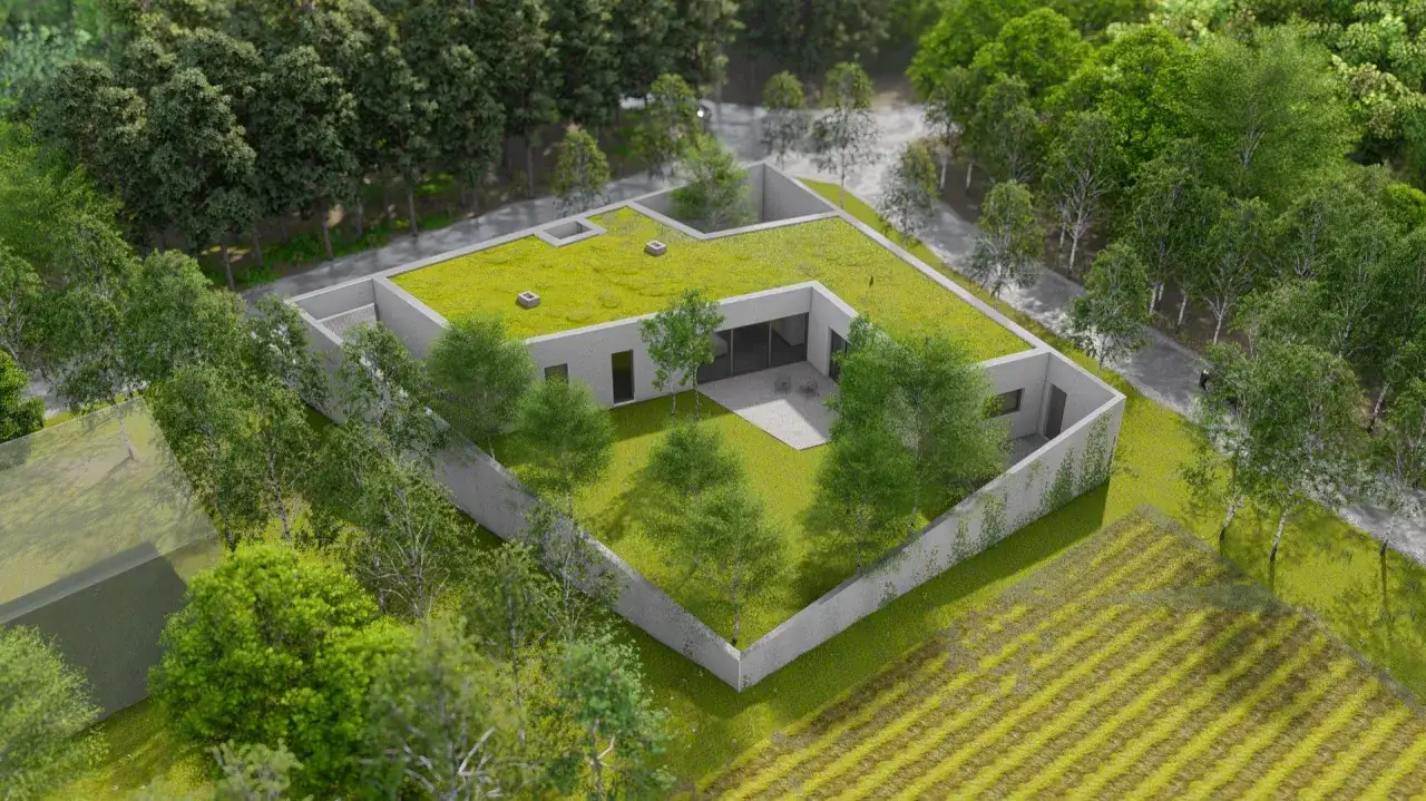 Nowoczesny dom z zielonym, płaskim dachem, otoczony drzewami i ogrodem.
