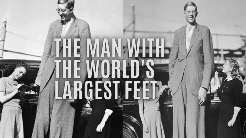 Największe buty świata Robert Wadlow porównanie rozmiarów