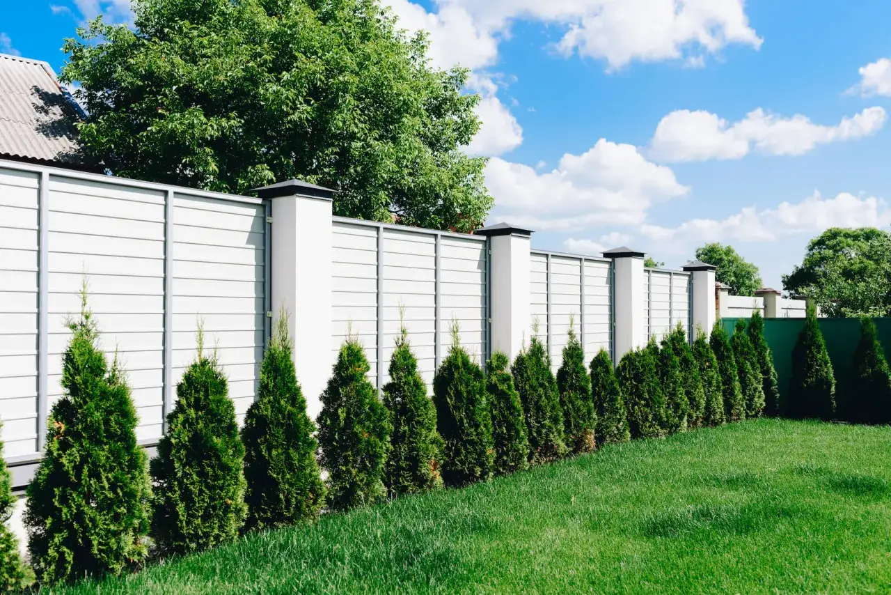 Drzewa w pasie drogowym przepisy