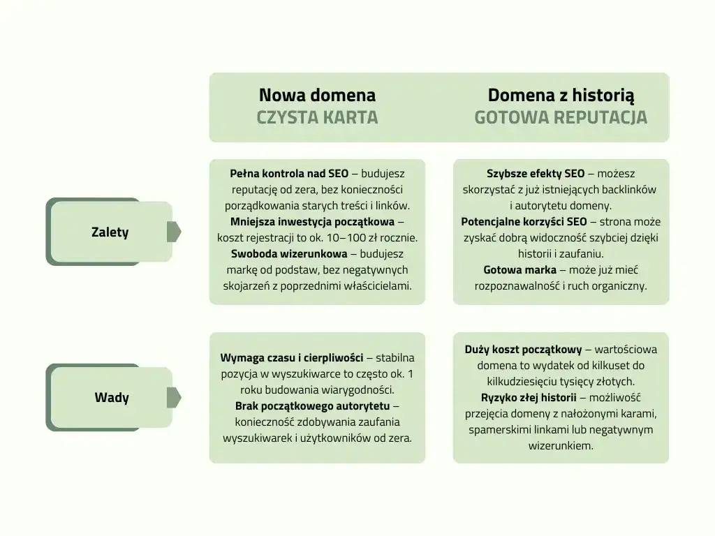 jak wybrać dobrą domenę internetową infografika