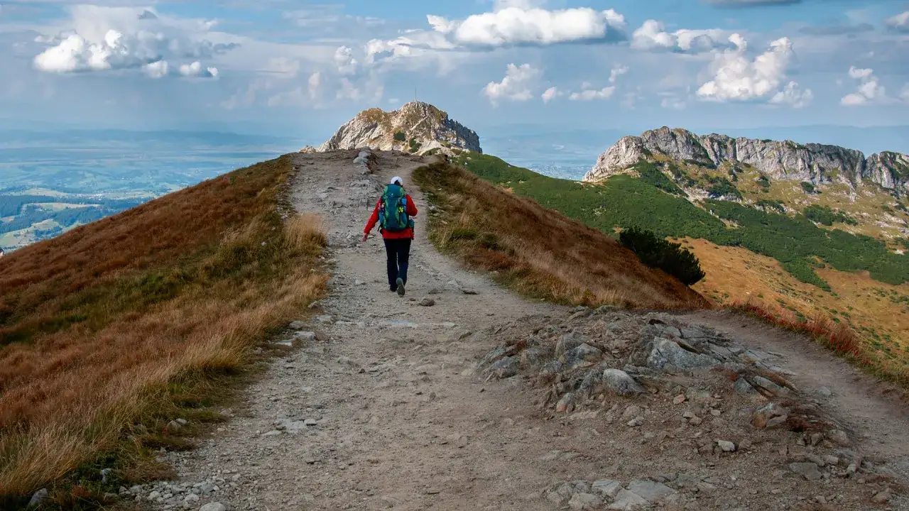 Szlak na czerwone wierchy z Kuźnic. Turystka z plecakiem idzie kamienistą ścieżką wśr&oacute;d traw.