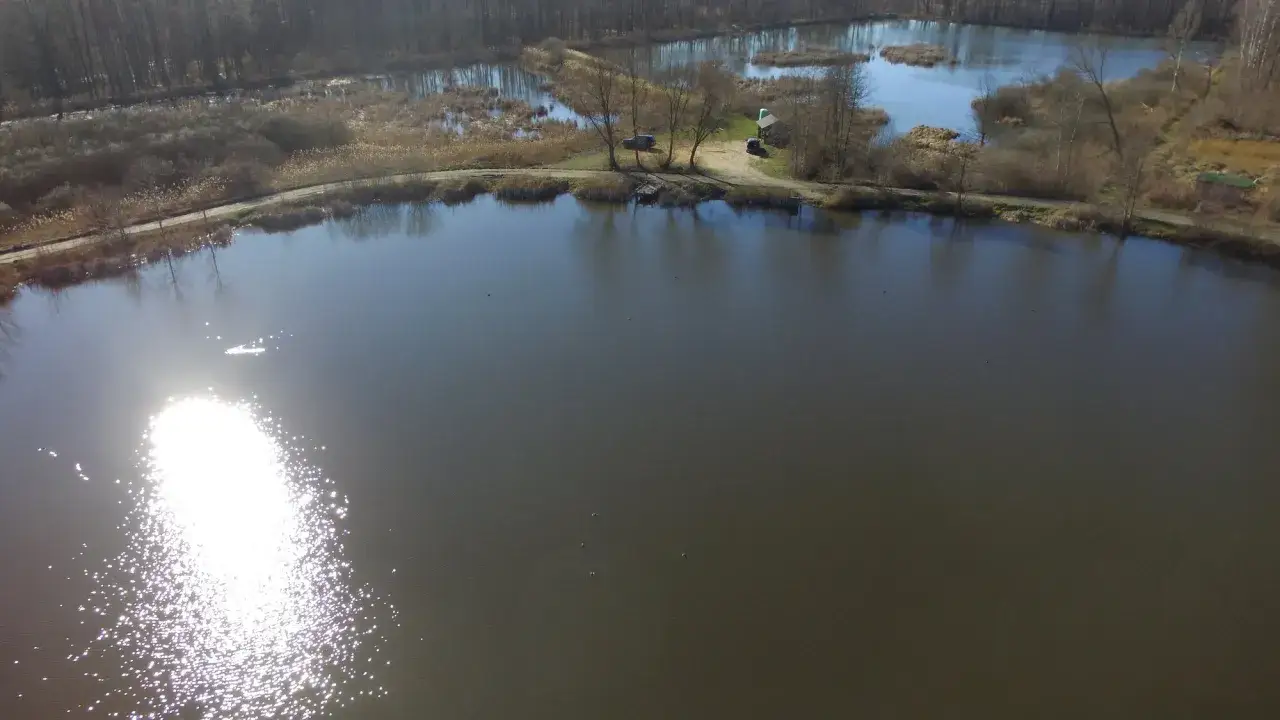 Zdjęcie Łowisko Radziejowice – idealne miejsce na wędkarską przygodę