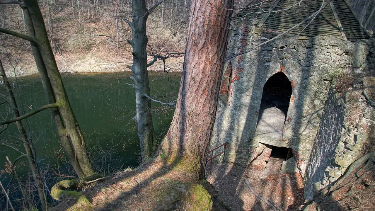 Zdjęcie Rezerwat przyrody Jeziorsko – co warto wiedzieć przed zwiedzaniem i jak uniknąć błędów