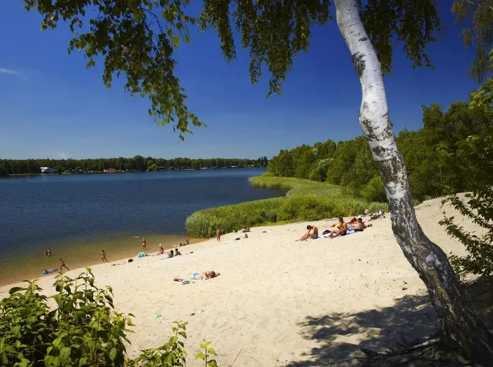 Zdjęcie Jezioro Dąbrowskie - raj dla miłośników przyrody i aktywności na wodzie