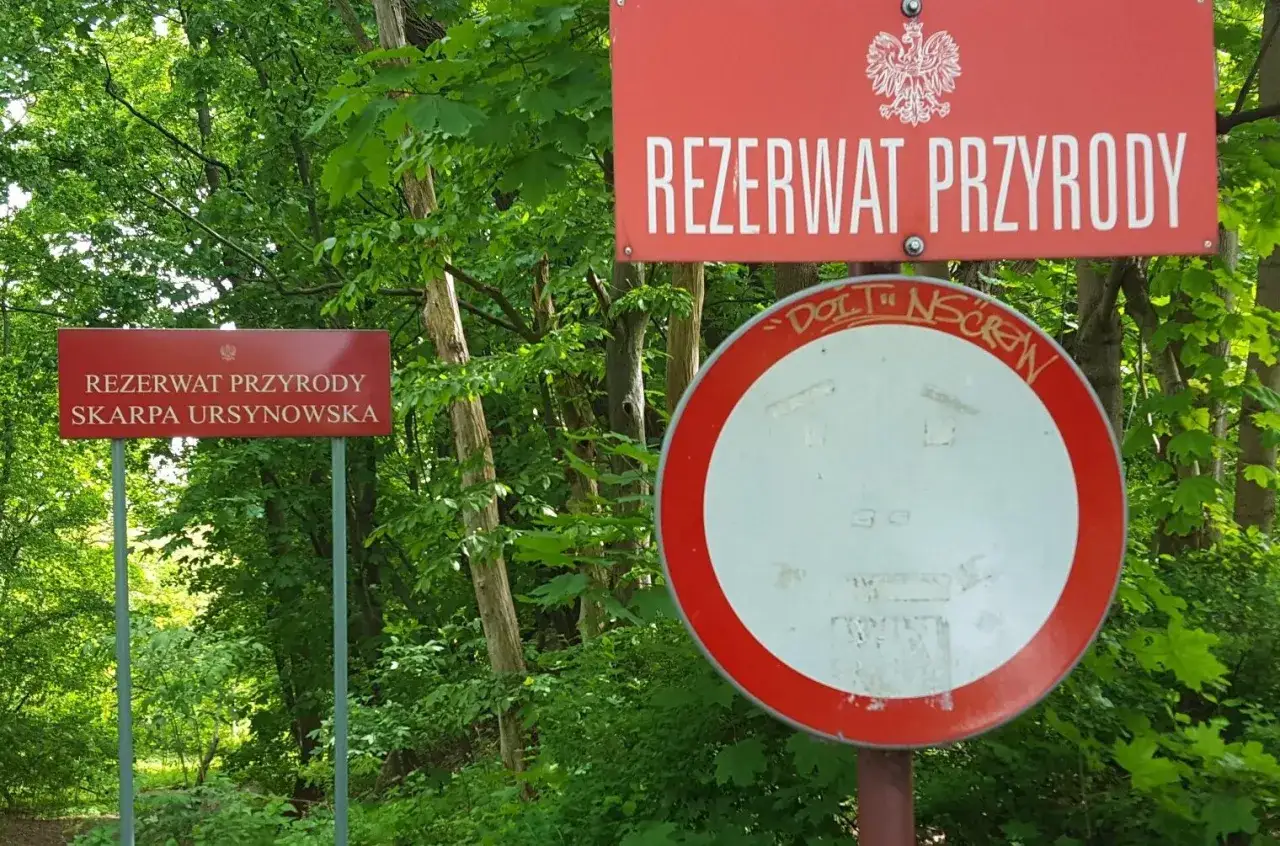 Zdjęcie Rezerwat przyrody Skarpa Ursynowska - tajemnice i unikalne ekosystemy