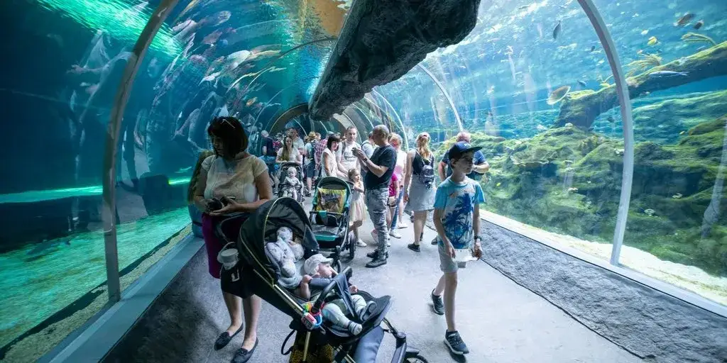 Zdjęcie Oceanarium w Łodzi: Niezapomniane atrakcje i tajemnice Orientarium