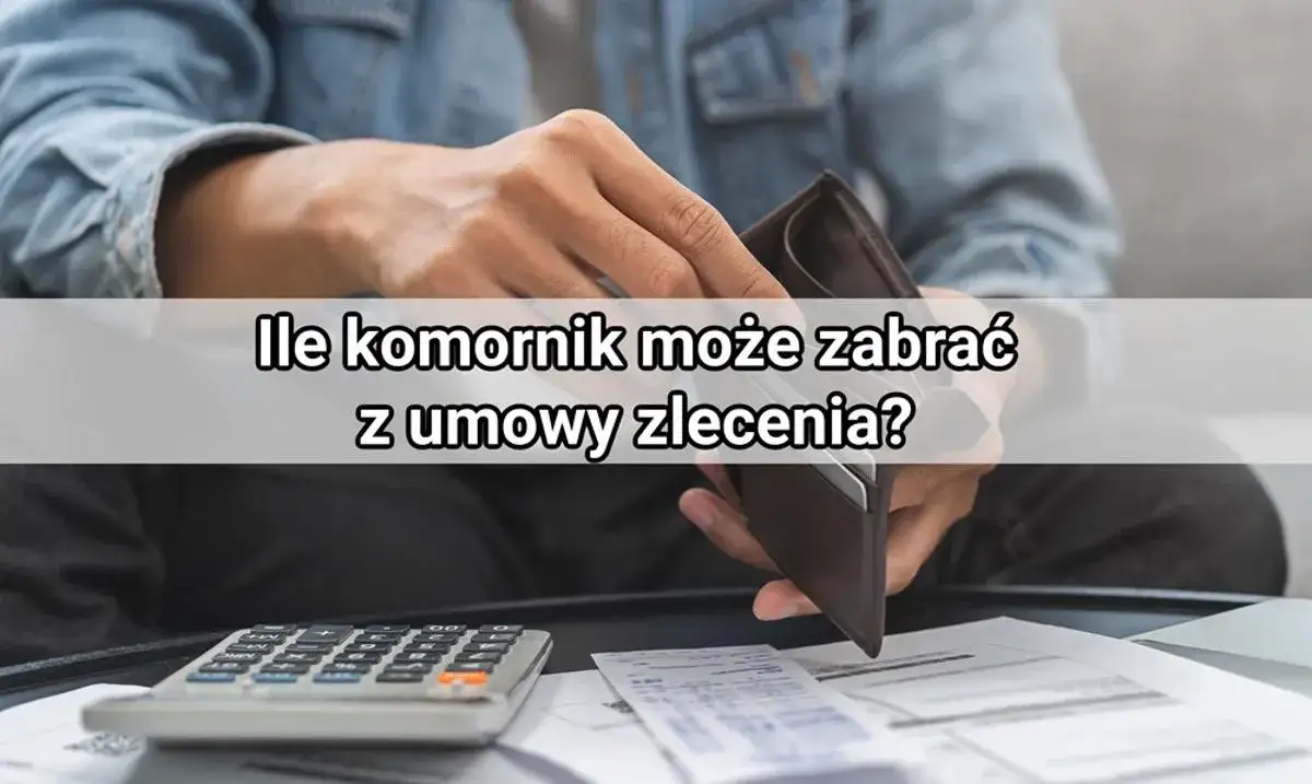 Zdjęcie Ile komornik może zabrać z umowy zlecenie? Sprawdź swoje prawa