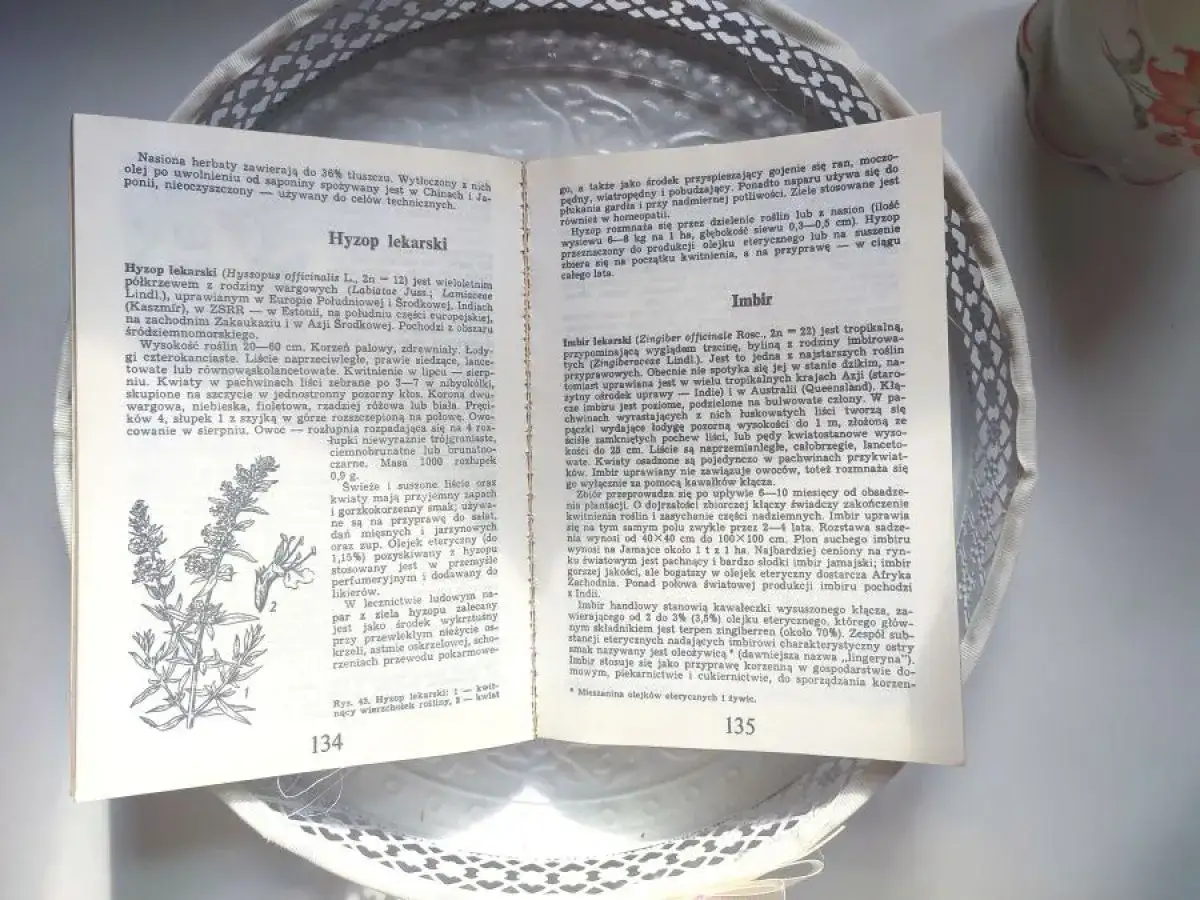 Zdjęcie Przepis na herbatę z imbirem na odchudzanie: 5 sekretów skutecznego naparu