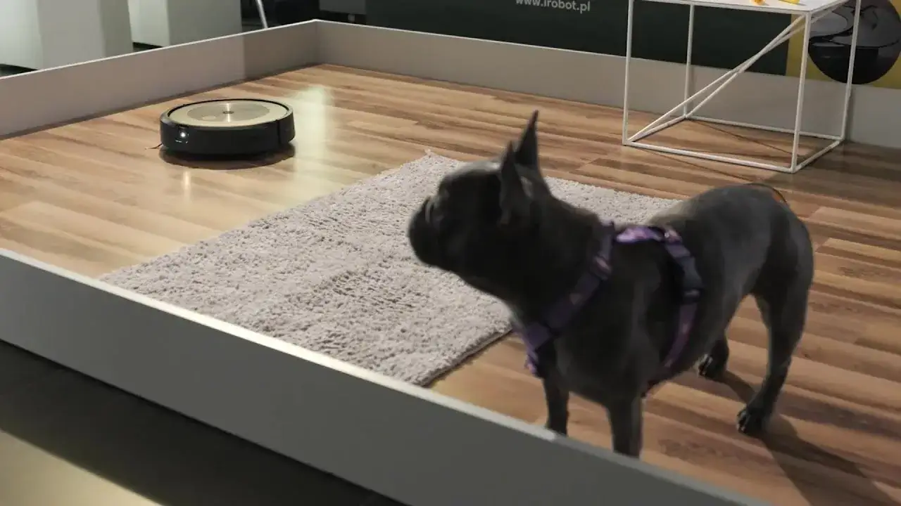 iRobot Roomba dla właścicieli zwierząt