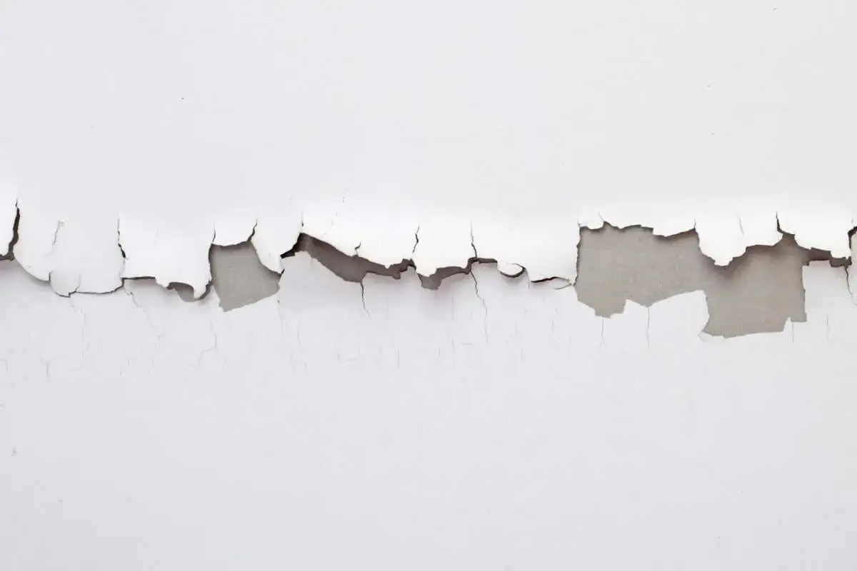 Biała farba odchodzi przy malowaniu wałkiem, odsłaniając szary tynk.