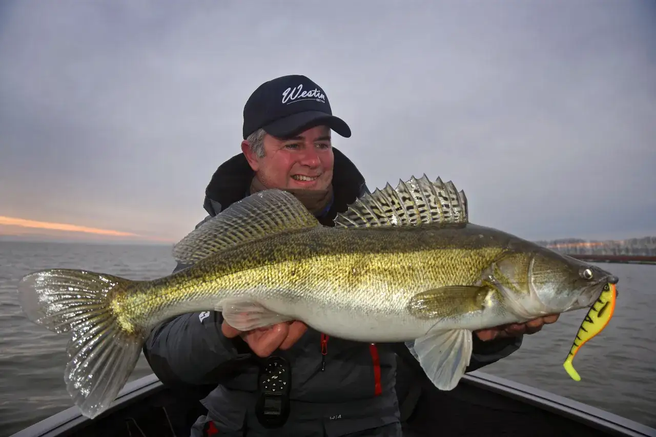 Wędkarz łowiący sandacza na spinning