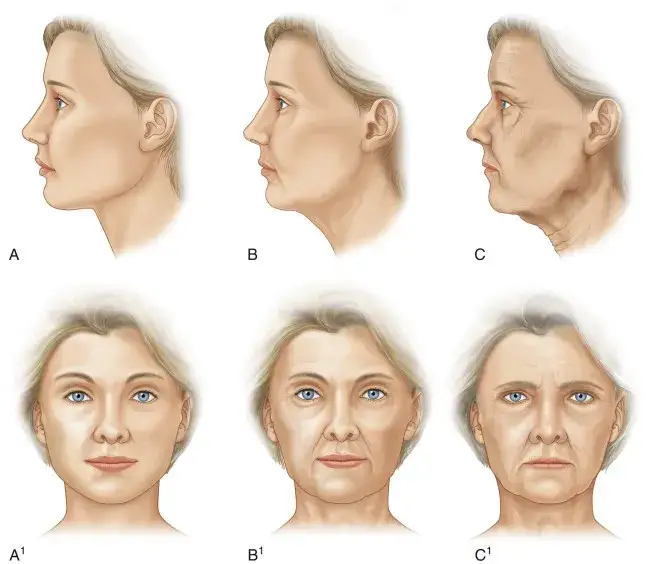 sk&oacute;ra po 35 roku życia zmiany starzenie
