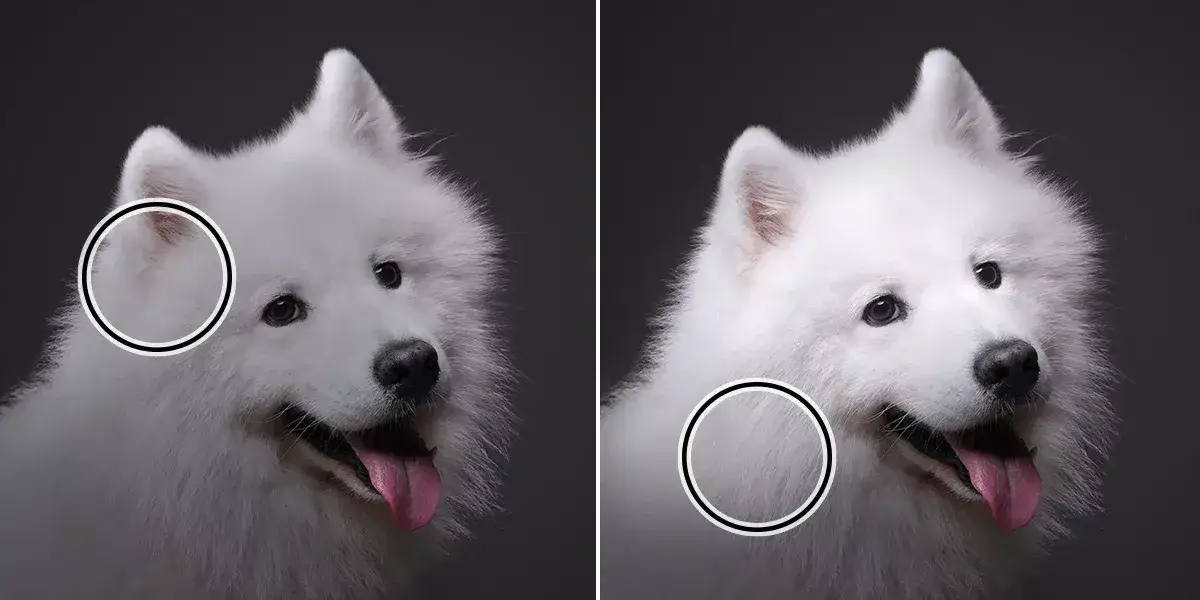 Photoshop porównanie efektów rozjaśniania tła krzywe poziomy dodge tool