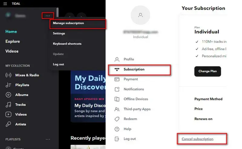 Tidal payment settings screenshot
