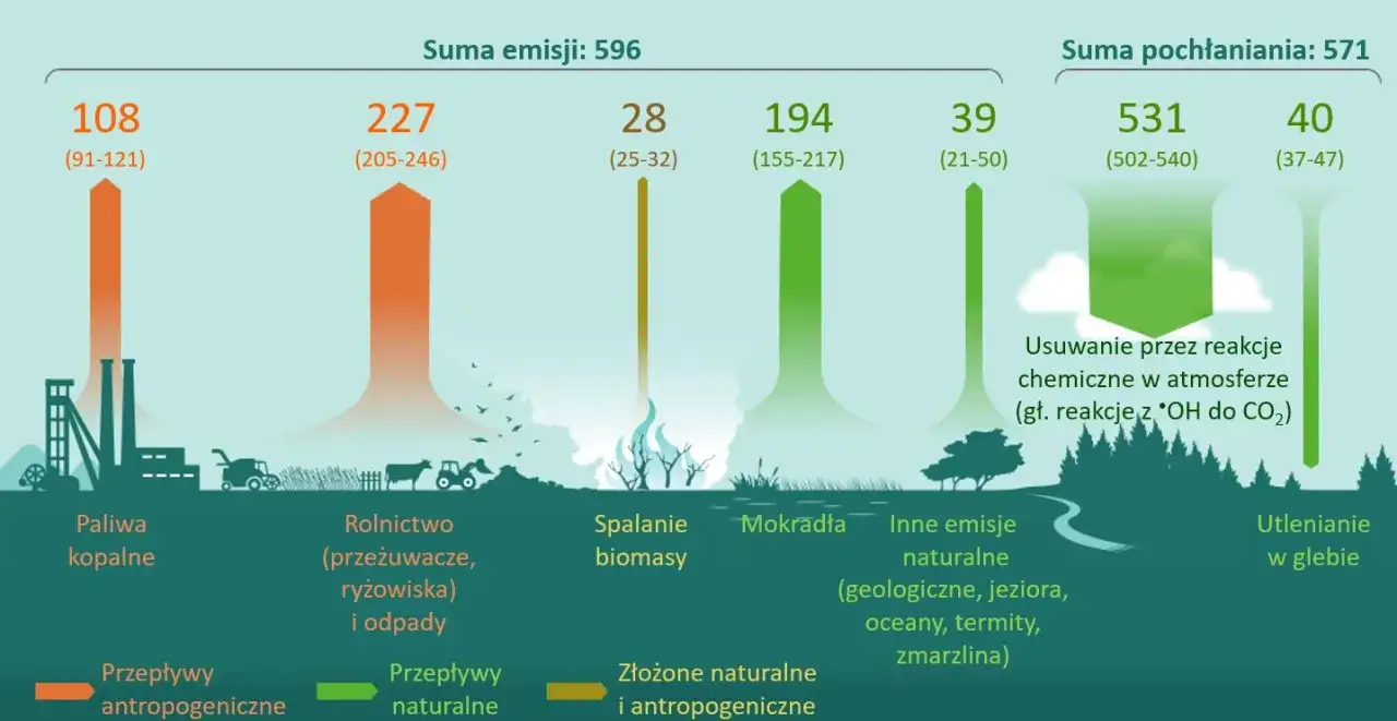 R&oacute;żne źr&oacute;dła gaz&oacute;w cieplarnianych i ich wpływ