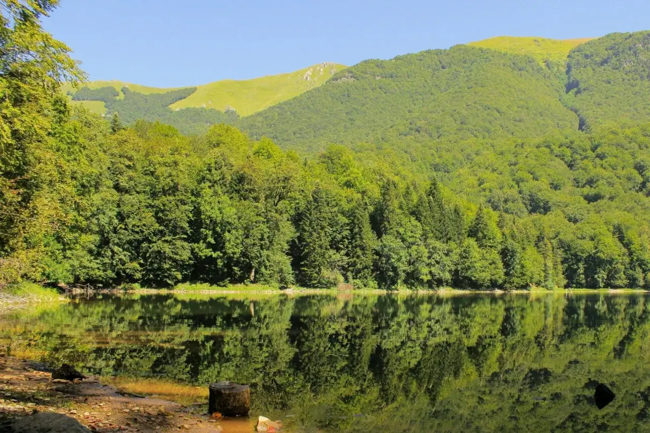 Spokojne jezioro odbija bujną zieleń las&oacute;w i łagodne zbocza g&oacute;r w Biogradska Gora.