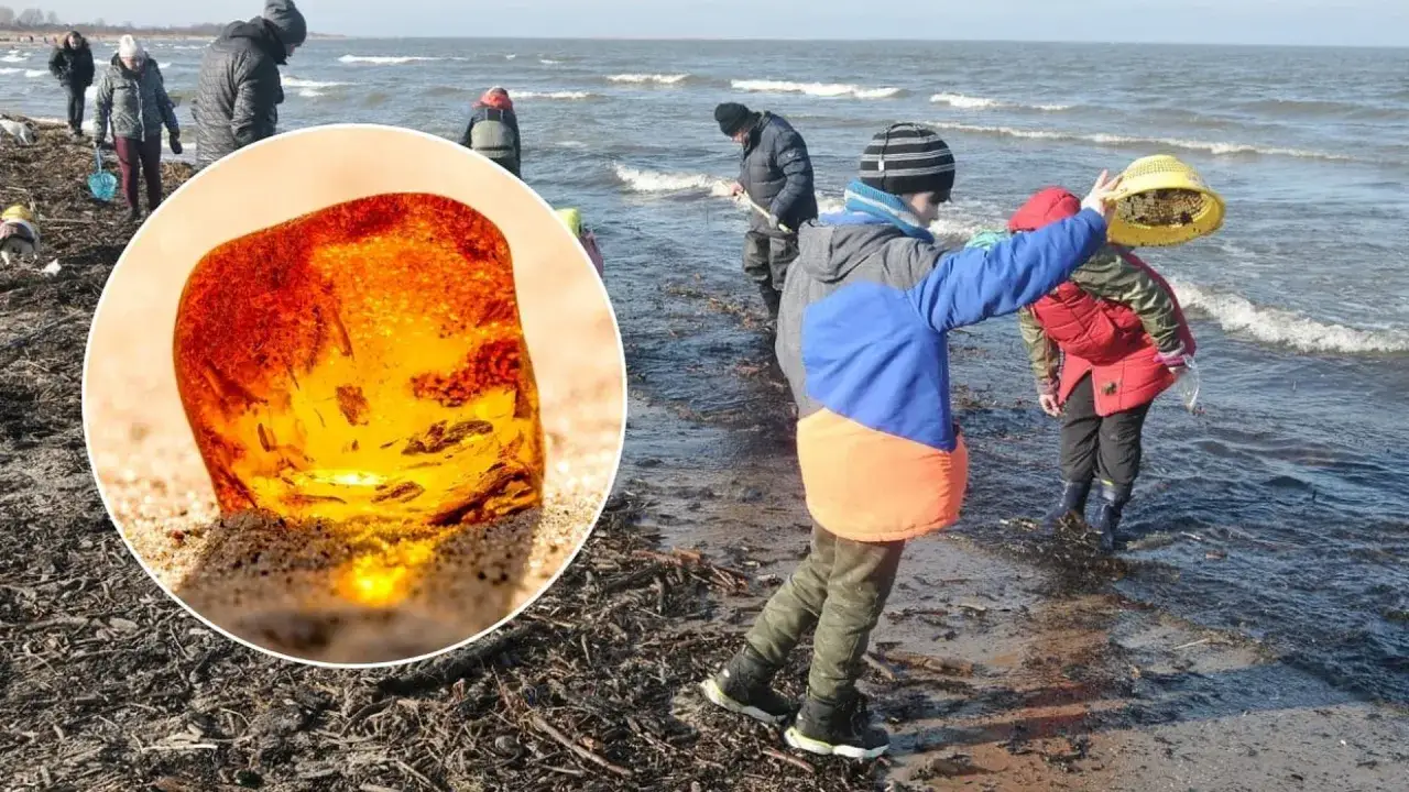Dzieci szukają bursztynu w Polsce na plaży. W oddali widać morze i innych spacerowiczów.