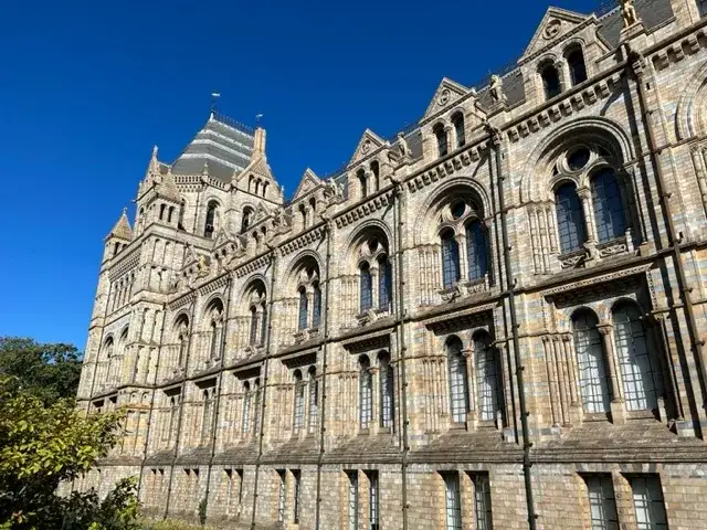 Zdjęcie Muzeum sztuki naturalnej Londyn - co musisz wiedzieć przed wizytą