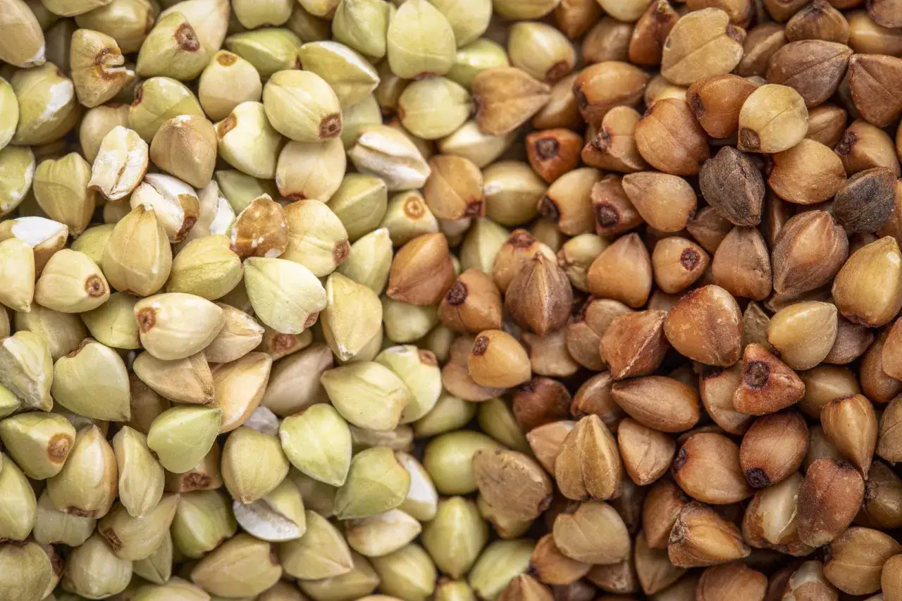 kasza gryczana palona i niepalona