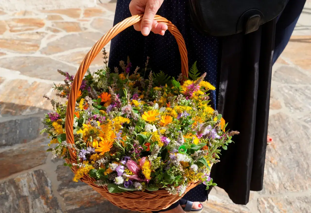 Kosz pełen polnych kwiat&oacute;w, jak na imieniny. Kolorowe bukiety, ż&oacute;łte i pomarańczowe kwiaty, zielone liście.