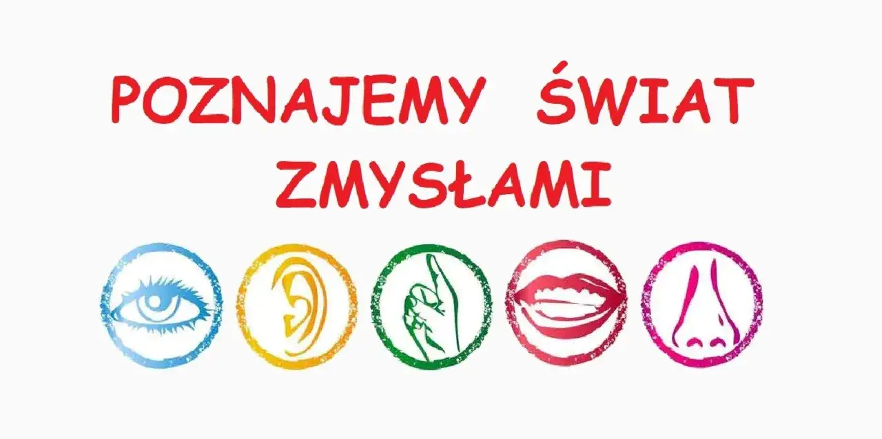 dziecko poznaje świat zmysłami